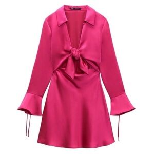 Zara Pink Dress